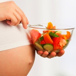 Pregnancy Recipes Plus+