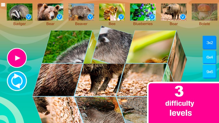 Smart Cubes: forest animals puzzle games for kids