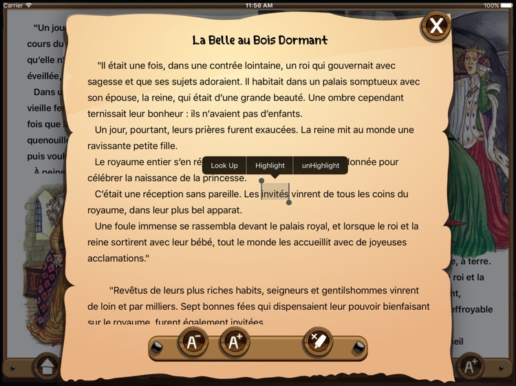 La Belle au Bois Dormant screenshot-3