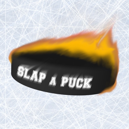 Slap A Puck Icon