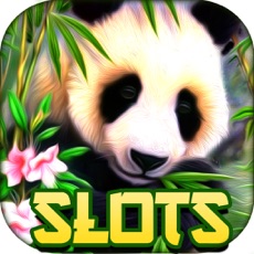 Activities of Wild Diamond Panda Slots Free Slot Machines Games