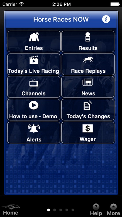 Horse Races Now