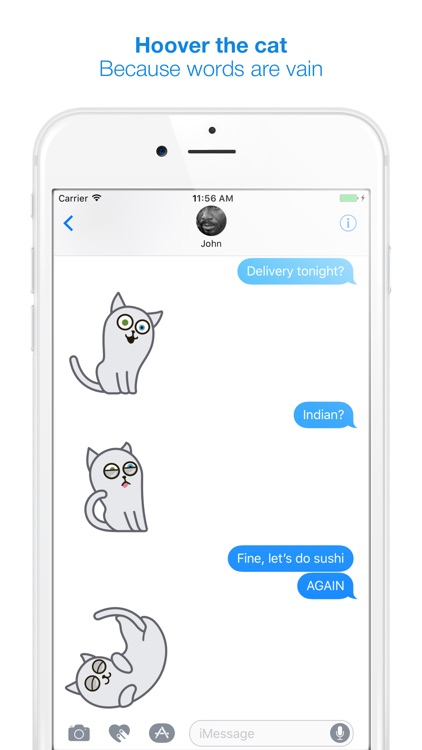 Hoover the Simple cat