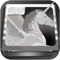 Save the castle and defend the kingdom in this Silver Unicorn Apocalypse War