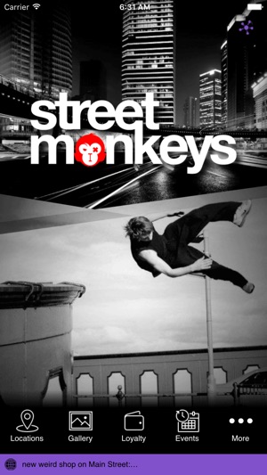 Street Monkeys