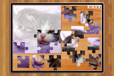 Cute Cats Jigsaw Puzzle Set screenshot 2