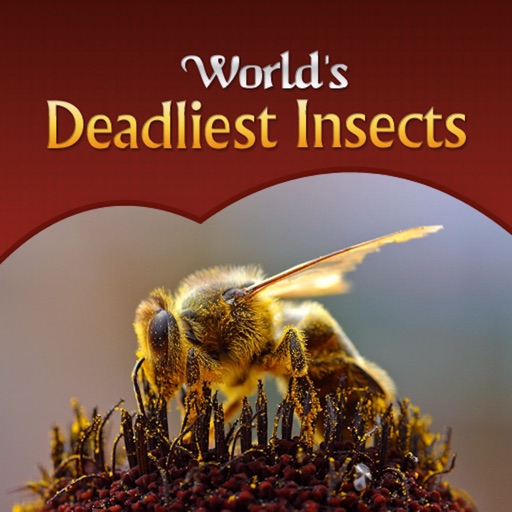 Deadliest Insects icon