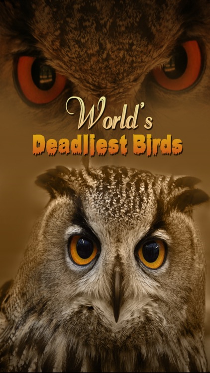 World's Deadliest Birds
