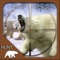 Hunt The Wild Bear - 2017 is a stunning activity pack shooting amusement in the most exciting environment