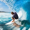 Surfing Competition Crowd Scoring