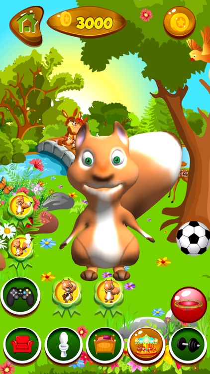 Talking Squirrel screenshot-3