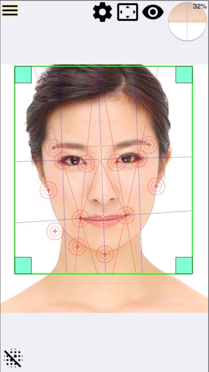 Face Points Lite