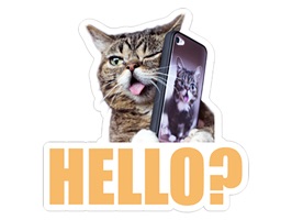 Up your texting game with playful animated stickers of Felis Catus Kitty Sticker and add on accessories