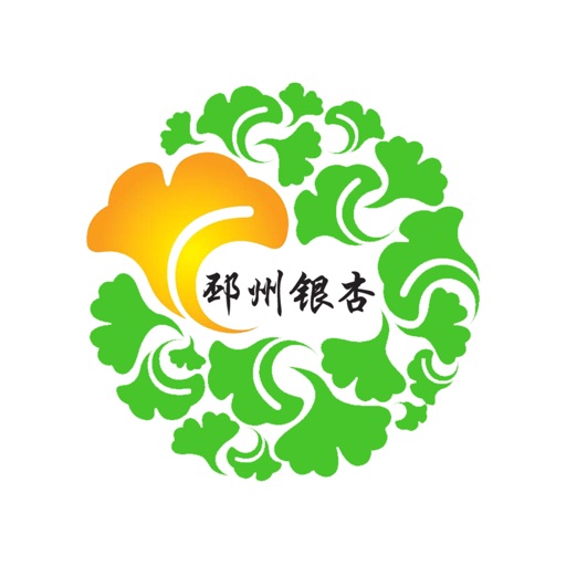 邳州银杏 icon