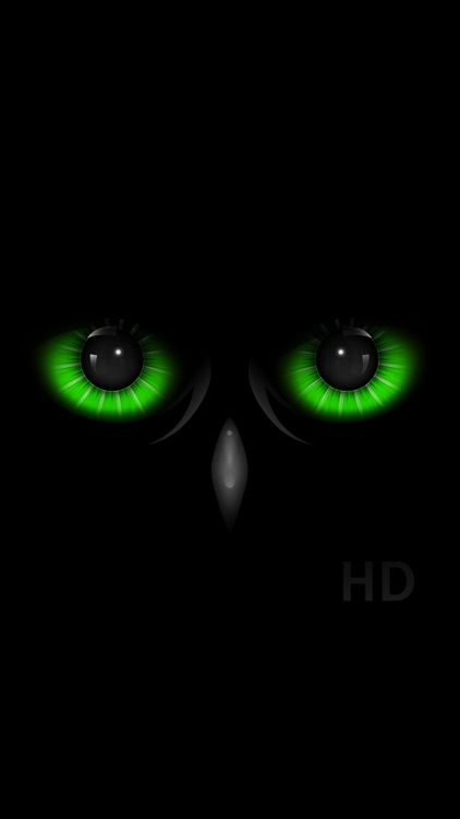 Night Eyes - Low Light Camera screenshot-3