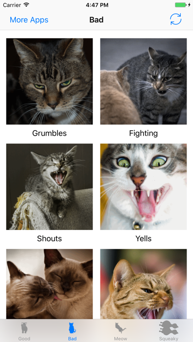 Cats sounds: real and fun sounds for cat lovers screenshot 3
