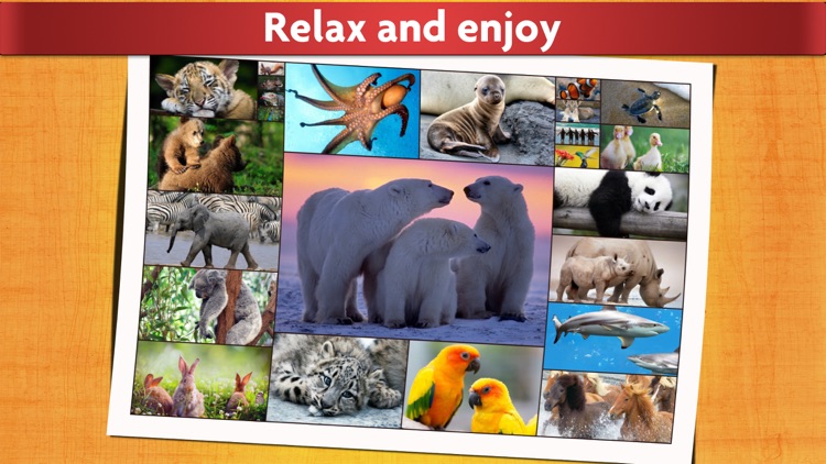 Cute Animals Puzzle - Relaxing photo picture jigsaw puzzles for kids and adults screenshot-4