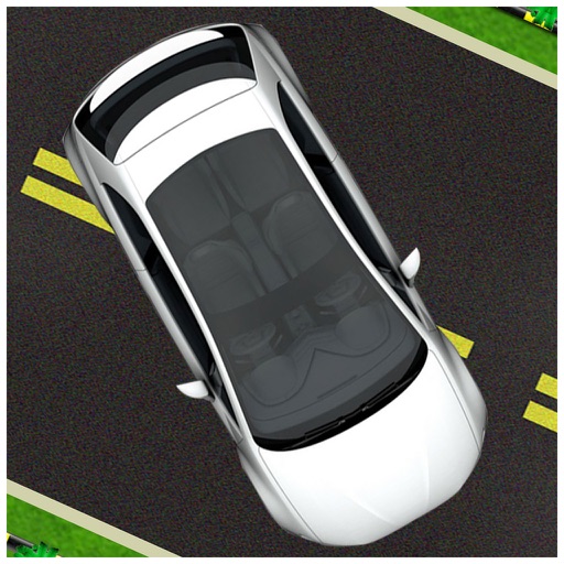 Zig Zag Cars HD Icon