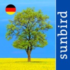 Alle Bäume Deutschland - 1000 Arten bestimmen
