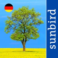 Alle Bäume Deutschland - 1000 Arten bestimmen apk