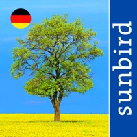 Alle Bäume Deutschland - 1000 Arten bestimmen pour PC