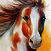 Paint Horse Wallpapers HD: Quotes and Art Pictures