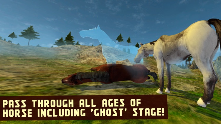 Wildlife: Horse Survival Simulator 3D screenshot-3