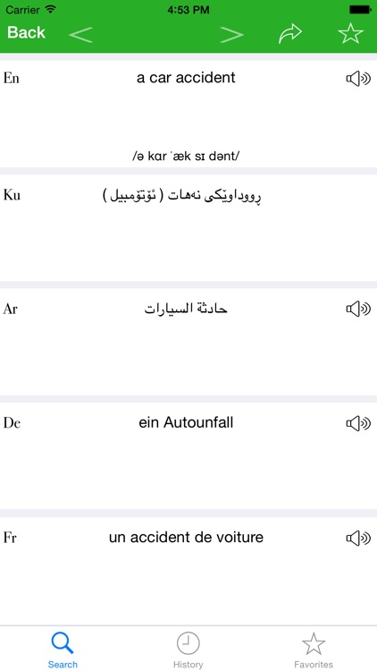 Tishk Dict (English-Kurdish-Arabic-German-French) screenshot-4