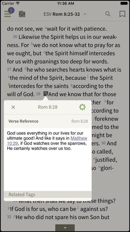 Amplified Classic Bible by Olive Tree