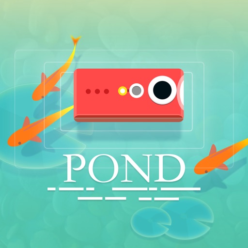 Pond Journey