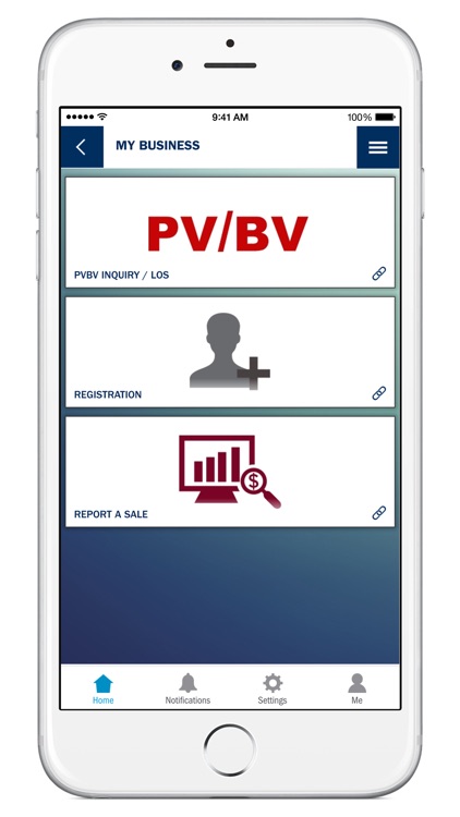 Pv Bv Amway Chart