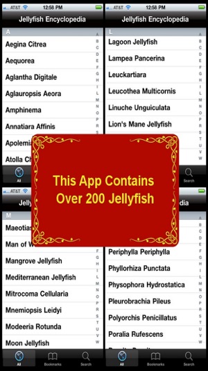 Jellyfish Encyclopedia(圖4)-速報App