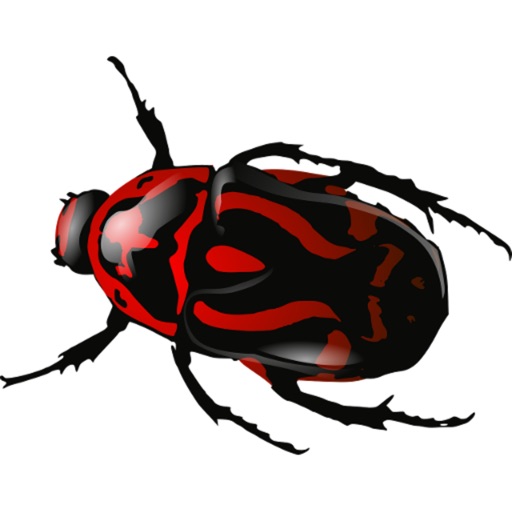 Directory of beetles