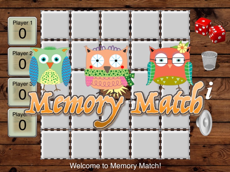 Owl Memory Match