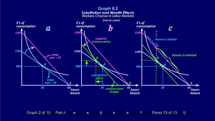 Duke Micro Econ Chapter 8