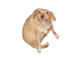 welcome to yer new world, dogdings
