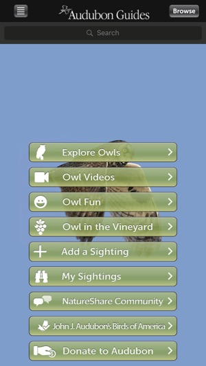 Audubon Owls Guide