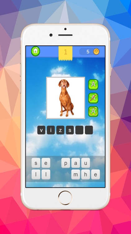 Dog images compare word guessing exercise quiz screenshot-3