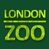 London Zoo Visitor Guide