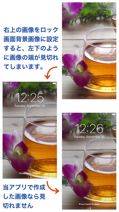 ss1