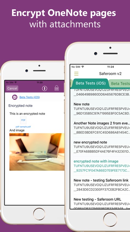 Saferoom-protect data stored in cloud apps