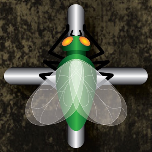 Rail Flies icon