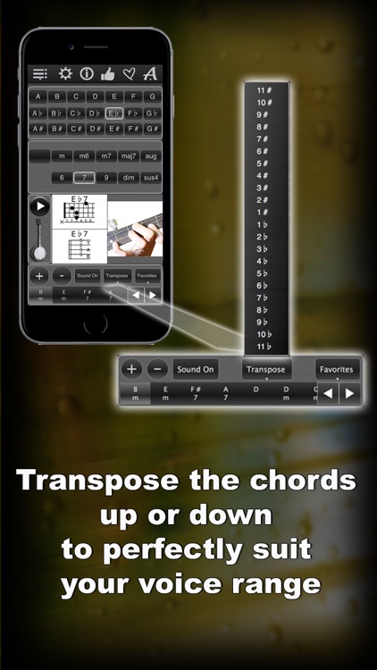 120 Banjo Chords