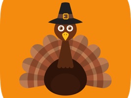 Thanksgiving Holiday Stickers