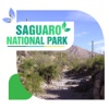 Saguaro National Park Tourism Guide