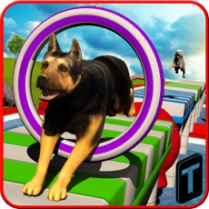 Activities of Stunt Dog Simulator 3D