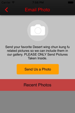 Desert wing chun kung fu screenshot 3