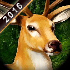 Activities of Deer Sniper Shooter 3D Wild Animal Hunt