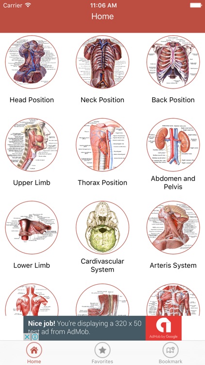 Human Anatomy Atlas – 3D Anatomical Model Pro