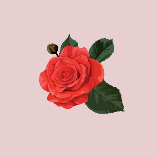 Rose Flowers - Stickers for iMessage icon